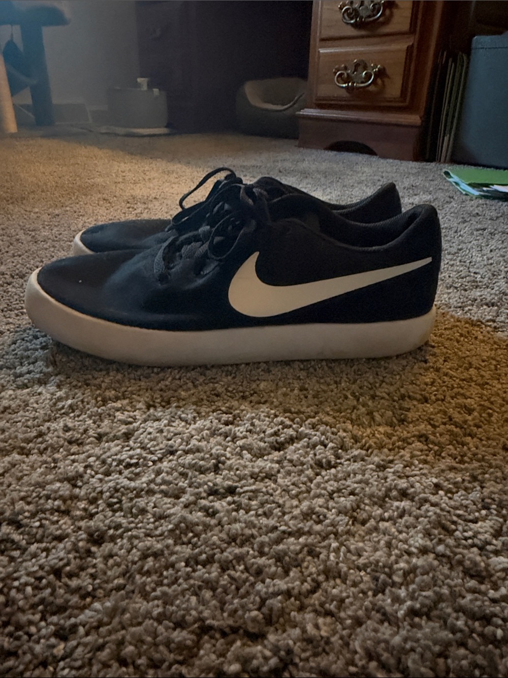 Nike Black Skate Shoes
